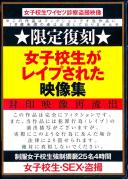 ★限定復刻★ 女子校生がレイプされた映像集