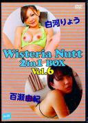 Wisteria Nutt 2in1 BOX 6 ͂傤 SRI